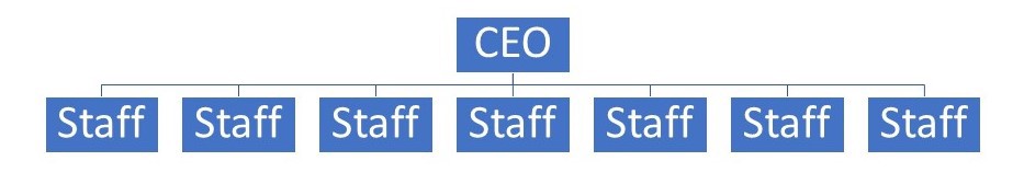 A basic organizational chart with CEO at the top and multiple staff members directly beneath.